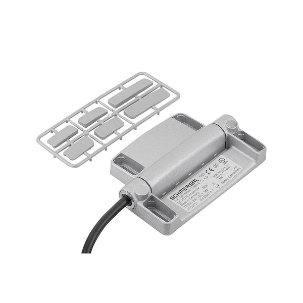 Kipp Safety Hinge Switch 78X116, Form:B, Zinc, Comp:Plastic, Mounting, , 1C / 2O K1499.781161121 - main